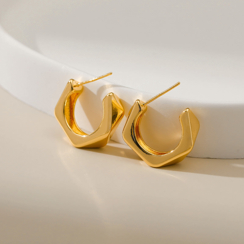 Smooth Irregular Earrings