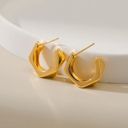 Smooth Irregular Earrings