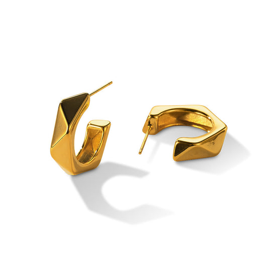 Smooth Irregular Earrings