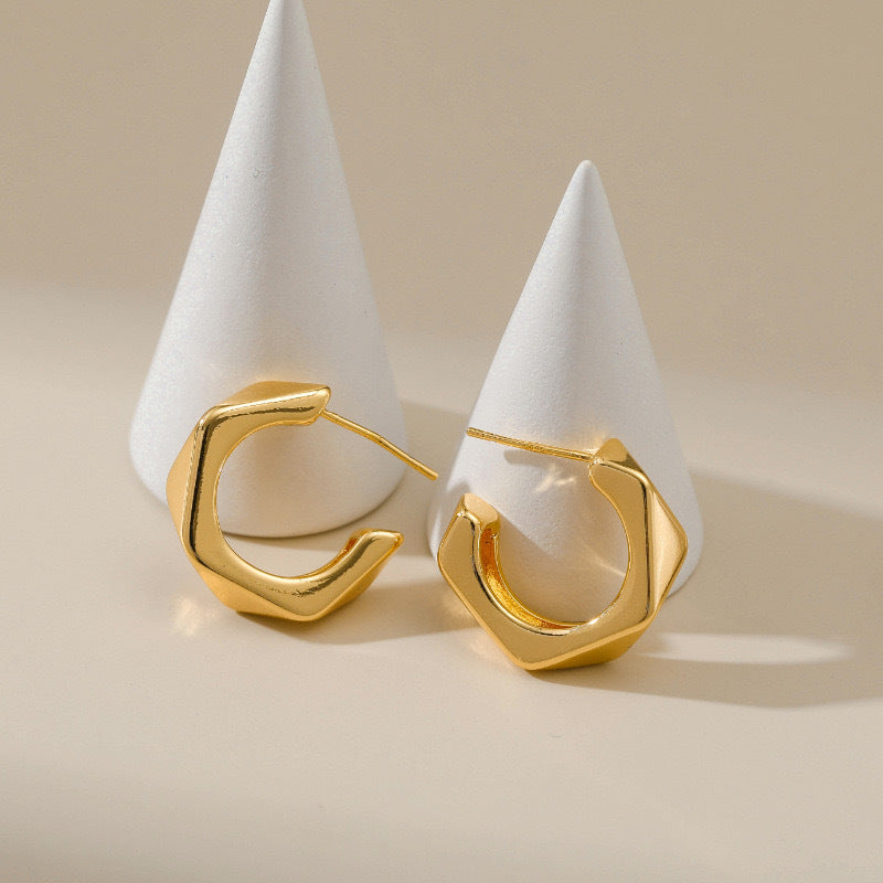 Smooth Irregular Earrings