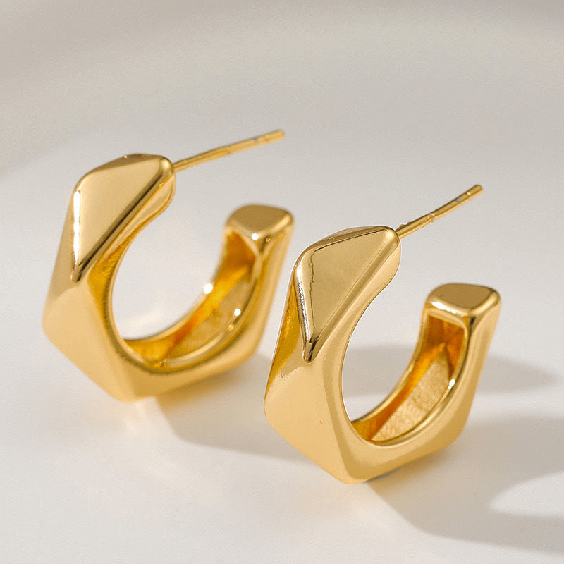 Smooth Irregular Earrings