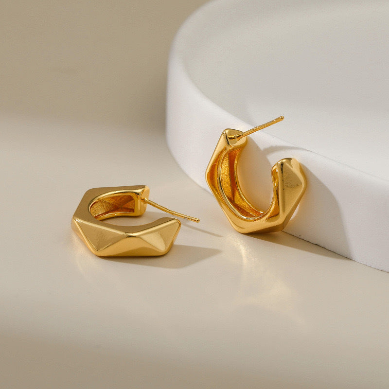 Smooth Irregular Earrings